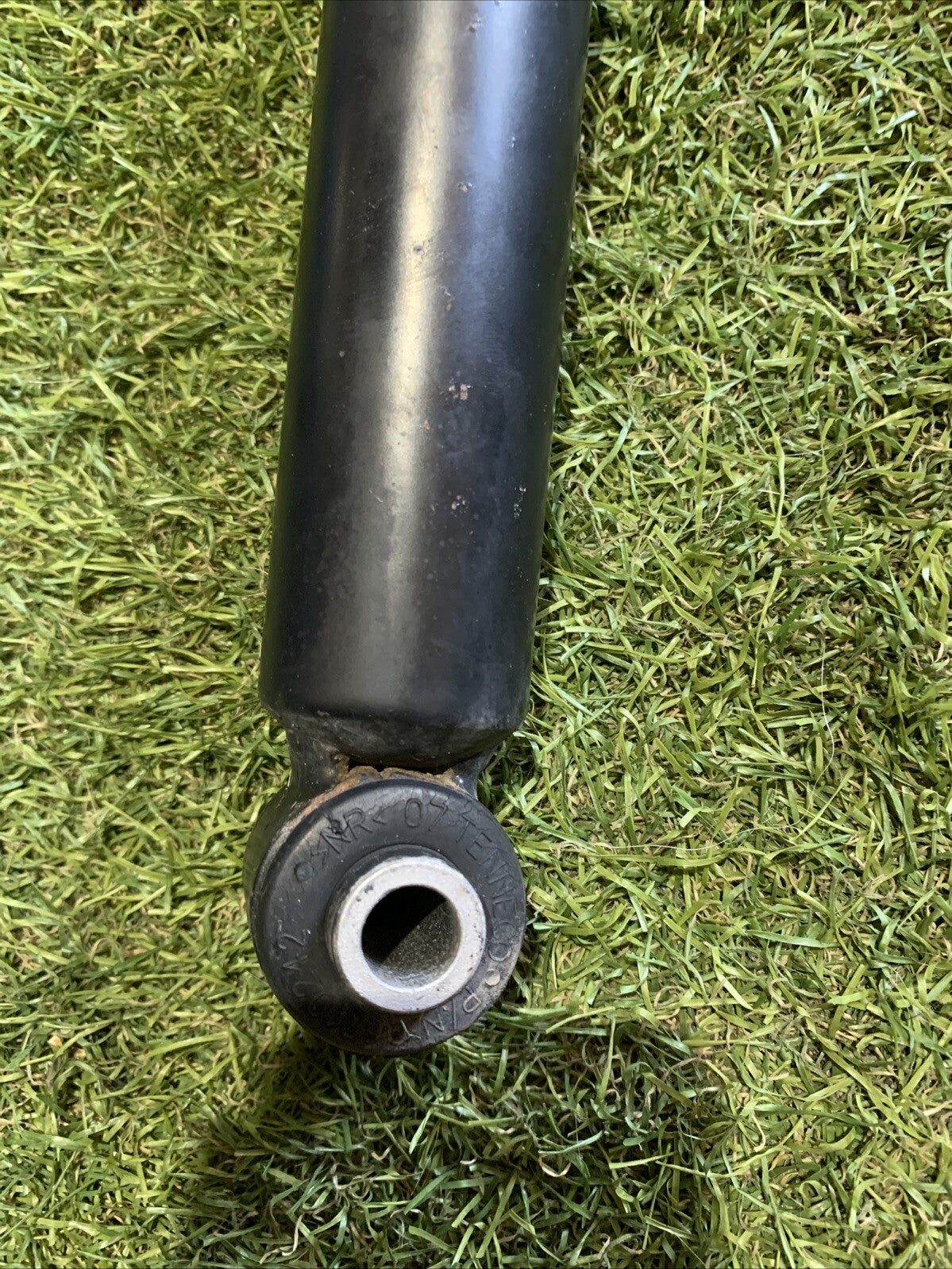 Ammortizzatori Posteriori Focus 2018 JX61-18080-END