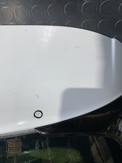 Cofano Baule Portellone Posteriore Smart 453