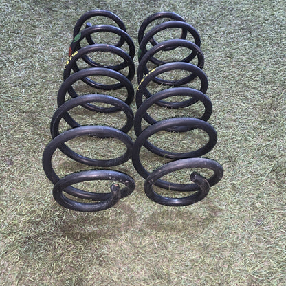 molle ammortizzatori posteriore ford fiesta 2005