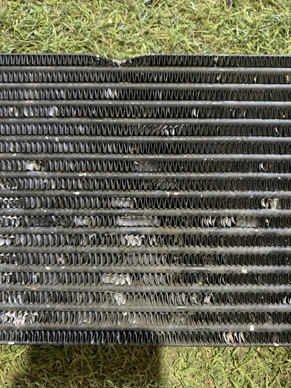 Radiatore Olio Alfa Romeo Giulia 2016 8E5280000