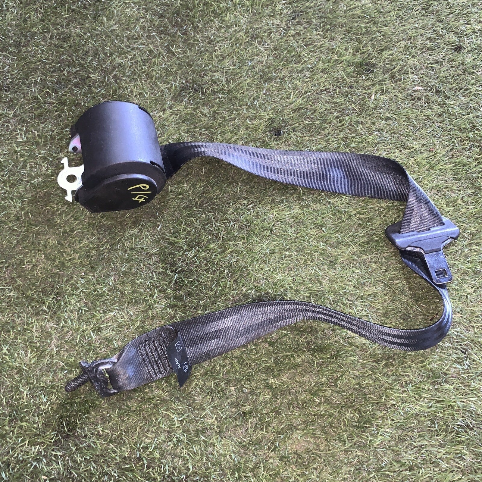 Cintura Posteriore Sinistra Dacia LODGY