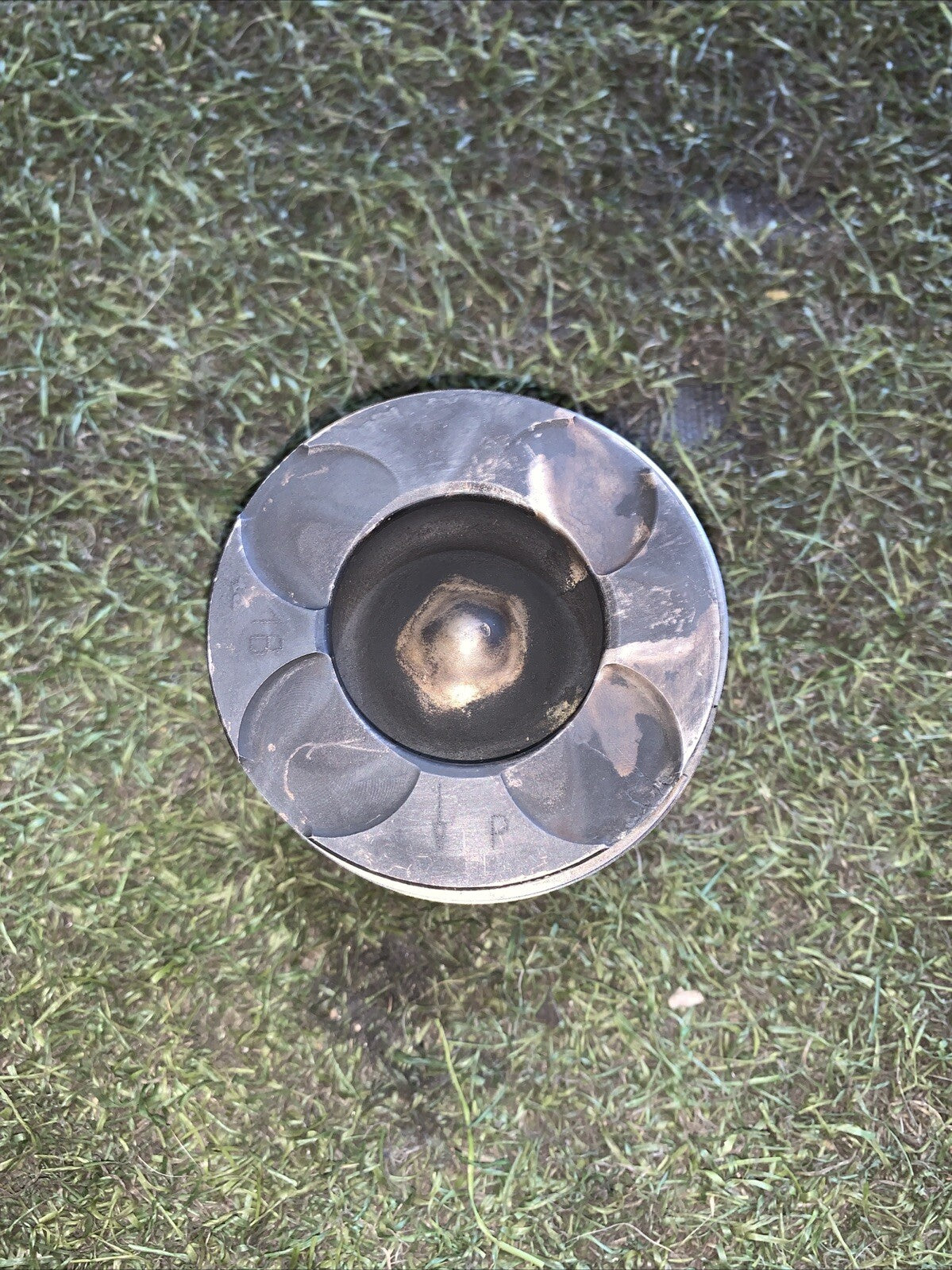 73502643 PISTONE SINGOLO FIAT PANDA 3 (312,319)(2012  ) 1.3 MJET 75CV(2)