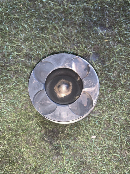 73502643 PISTONE SINGOLO FIAT PANDA 3 (312,319)(2012  ) 1.3 MJET 75CV(2)