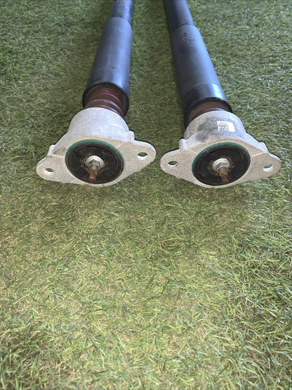 Coppia Ammortizzatori Posteriori Ford Ecosport 2018 1.0 GN15-18080-A3C