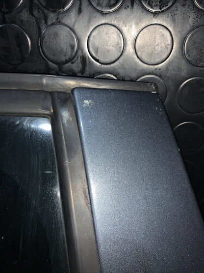 Porta Portiera Sportello Posteriore Sinistra Skoda Fabia 2011