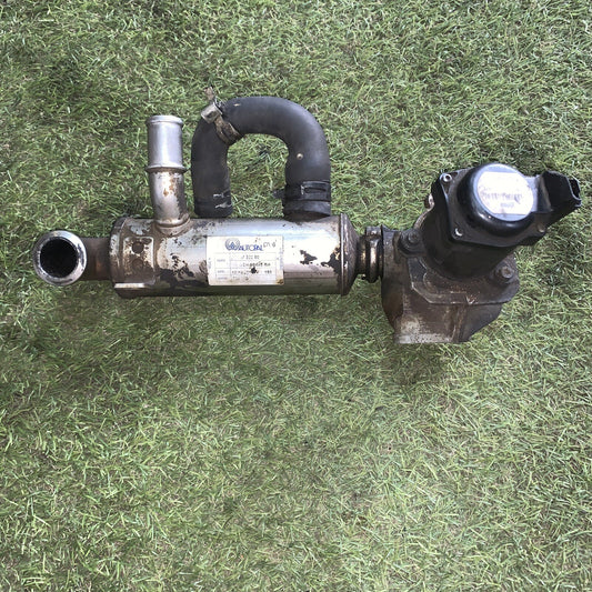 RADIATORE EGR PER PEUGEOT PARTNER
