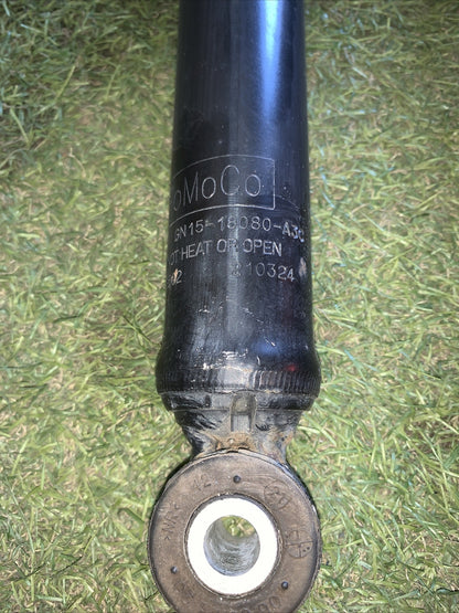 Coppia Ammortizzatori Posteriori Ford Ecosport 2018 1.0 GN15-18080-A3C