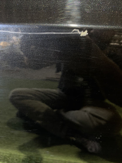 PORTIERA PORTA SPORTELLO  ANTERIORE SINISTRA SX BMW SERIE 3 G20 G21 BERLINA