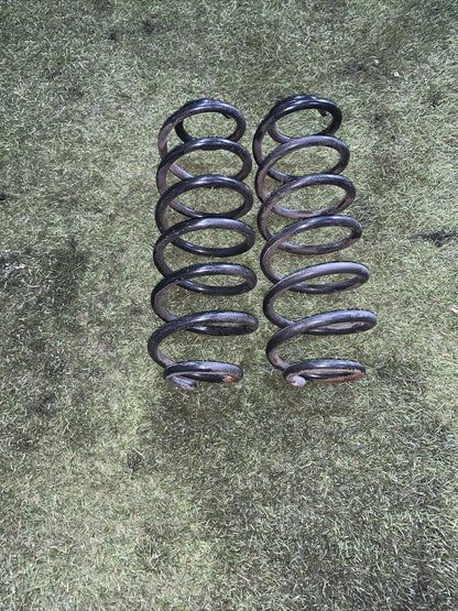 Molle Ammortizzatori posteriori ford fiesta 2011