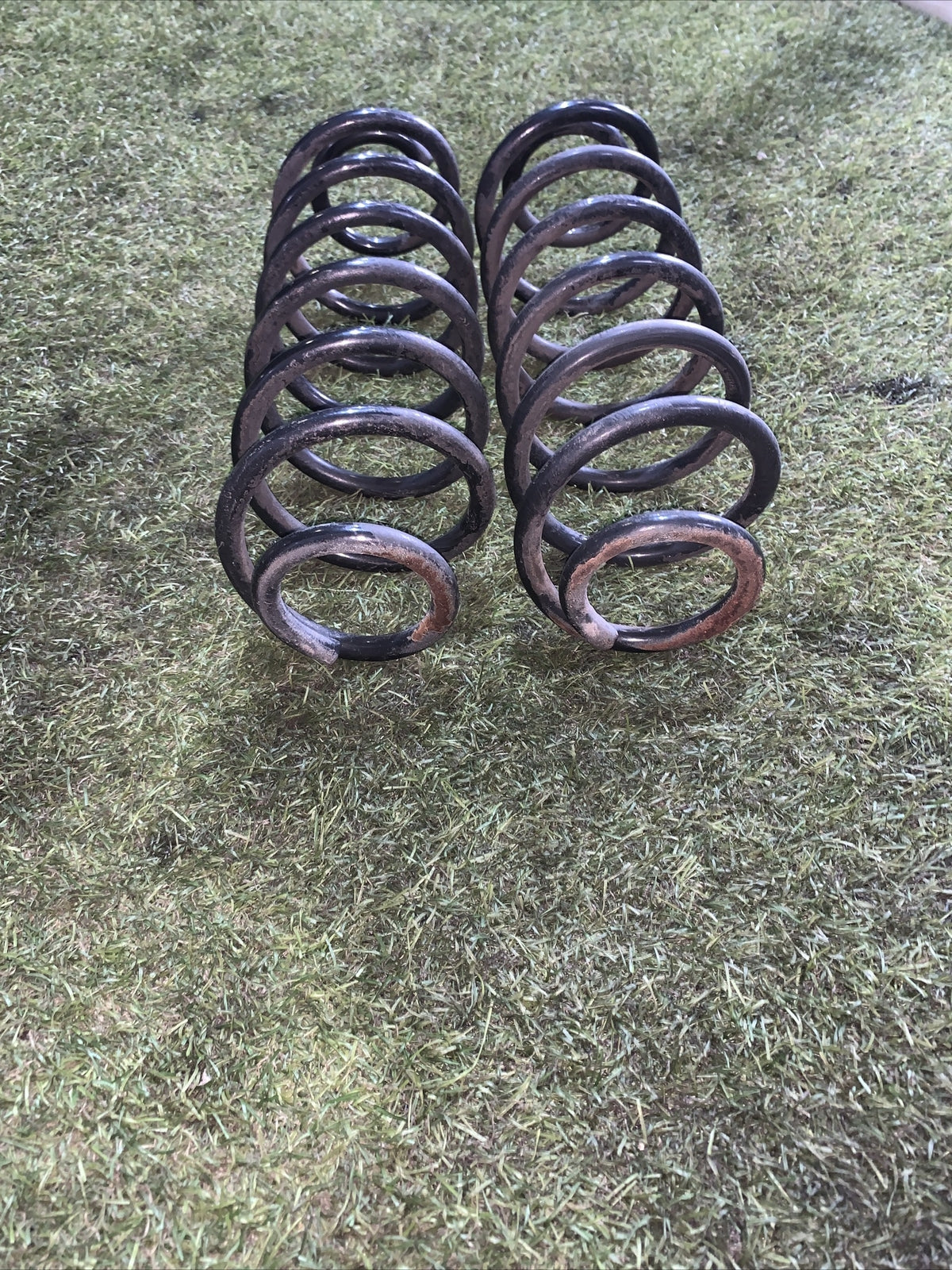 Molle Ammortizzatori posteriori ford fiesta 2011