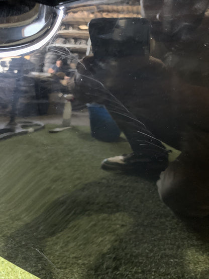 Porta Portiera Sportello Posteriore Destro Audi A3 8V