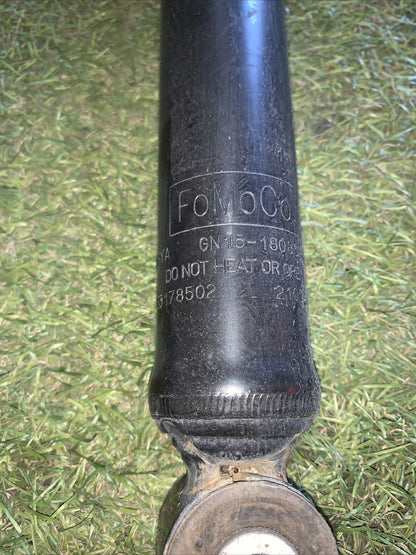 Coppia Ammortizzatori Posteriori Ford Ecosport 2018 1.0 GN15-18080-A3C