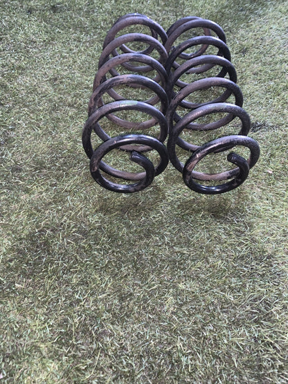 Molle Ammortizzatori posteriori ford fiesta 2011