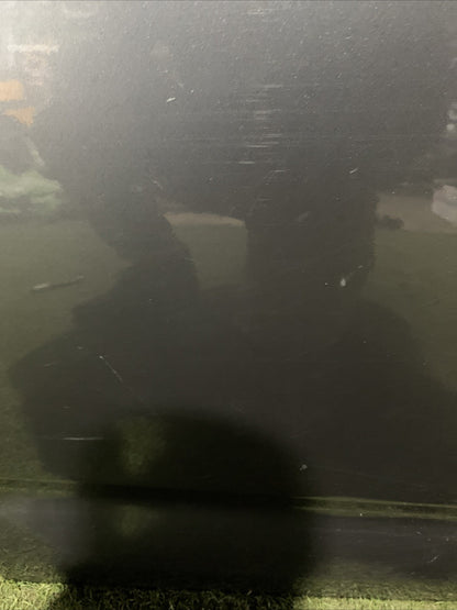 Porta Portiera Sportello Anteriore Destro Citroen C3 2009-2015