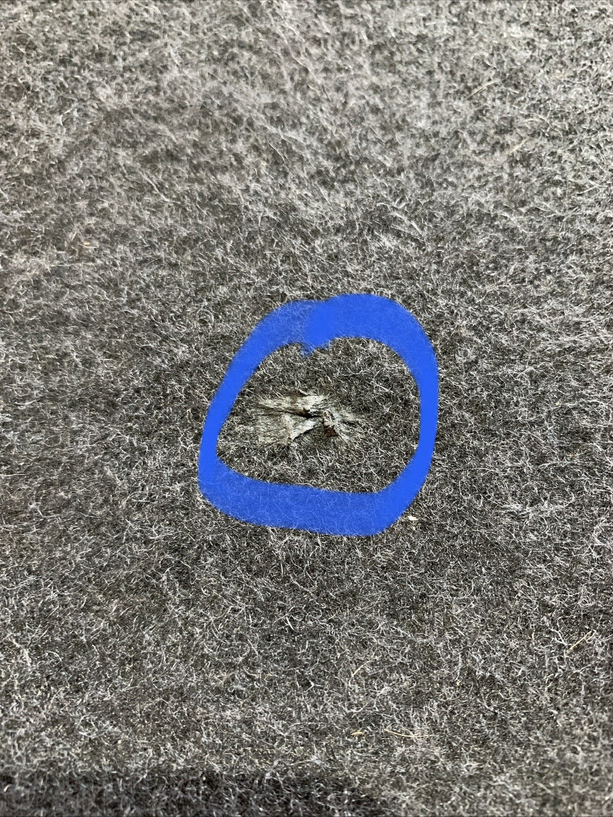 Tappeto Vano Baule Audi A4 2010 SW 8T0863463