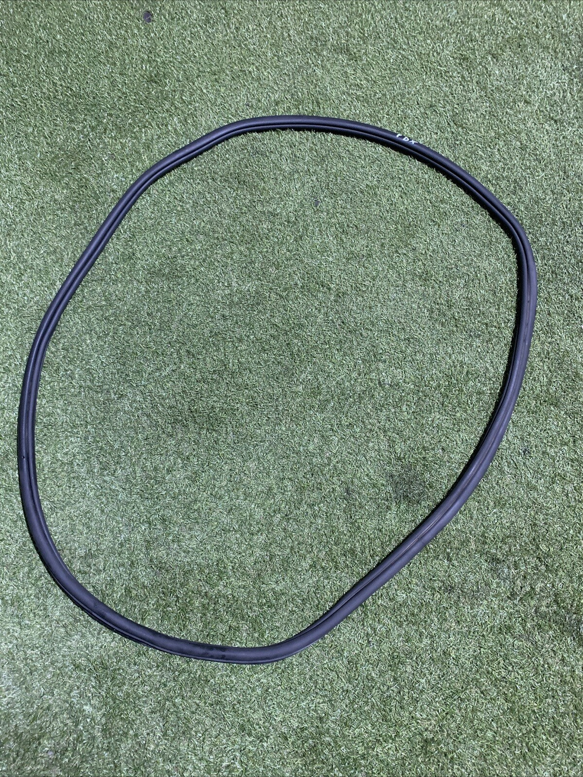 Guarnizione Porta Posteriore Destra Volkswagen Golf 8 5H4867914