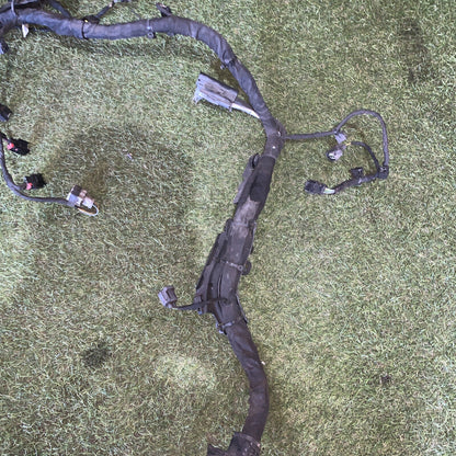 Cablaggio Motore Ford Fiesta 2019 Mk7 1.1 Benzina 85 Cv H1BT-12C508-CBB