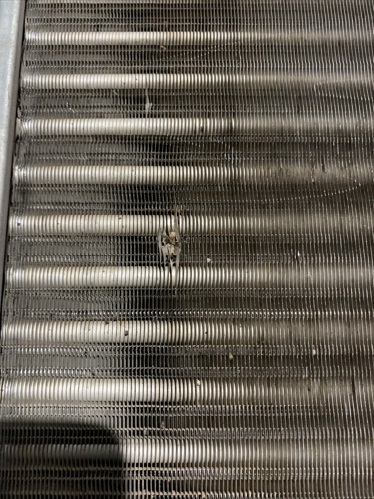 Radiatore Acqua Fiat Punto 1 Serie 75 176 1.2 Benzina 46465015