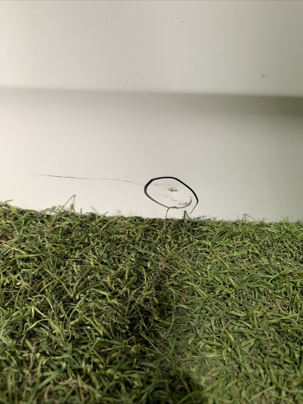 Cofano Baule Portellone Posteriore Volkswagen Golf 7