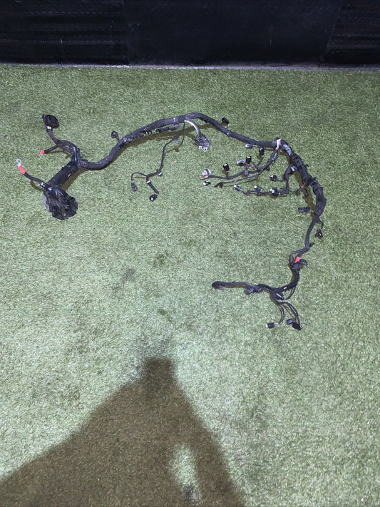 Cablaggio Motore Ford Fiesta 2019 Mk7 1.0 Benzina 85 Cv H1bt12c508cba