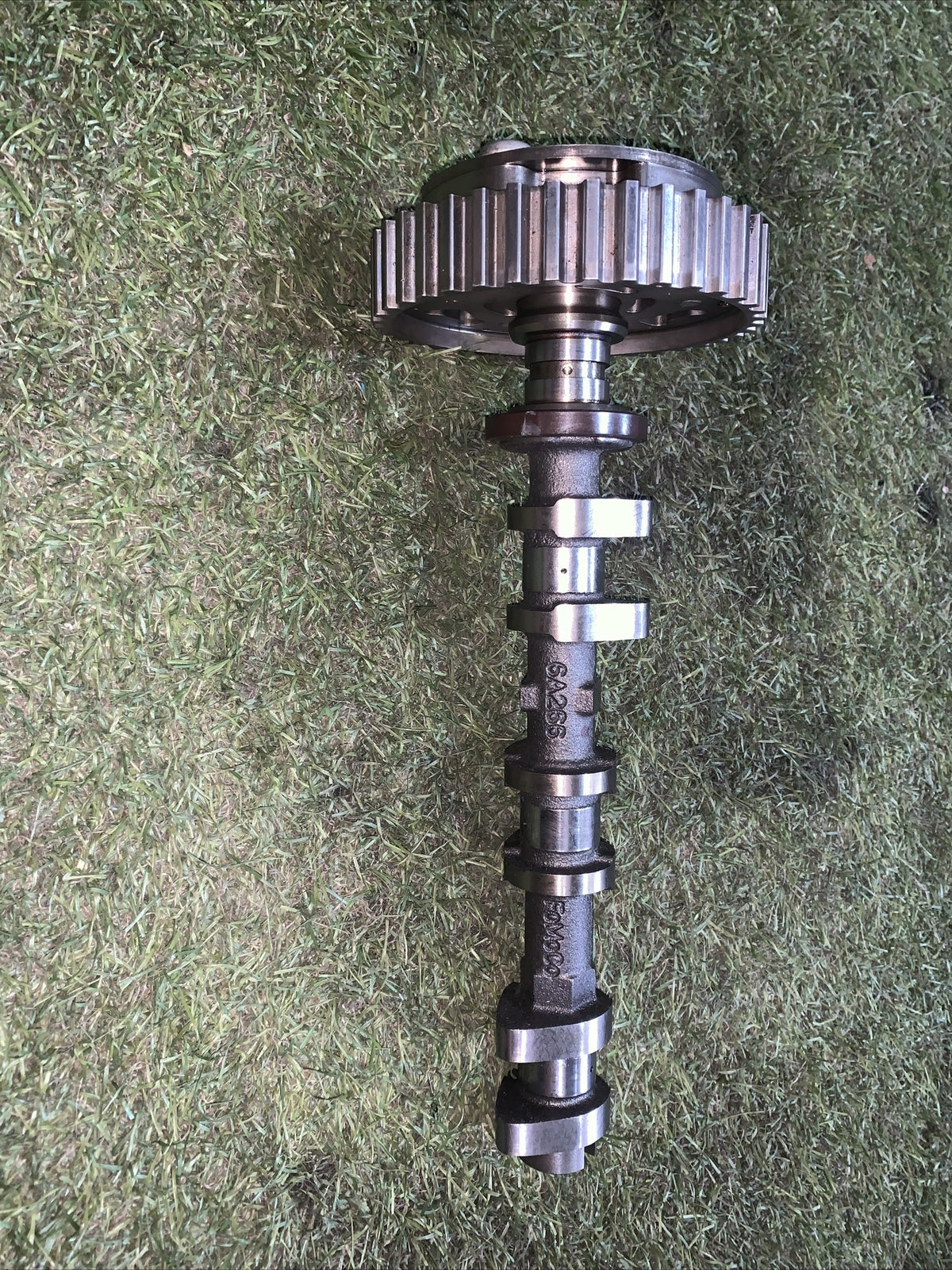 Albero A Camme Ford Fiesta 2019 1.0 Benzina H1BG6C524AA