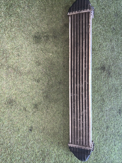 A1695000000 RADIATORE INTERCOOLER MERCEDES-BENZ CLASSE A (W169) (2)