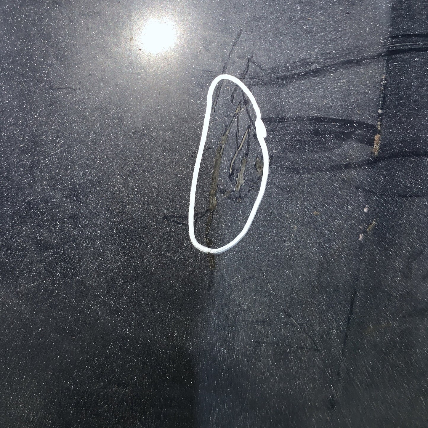 Cofano anteriore seat ibiza 2014