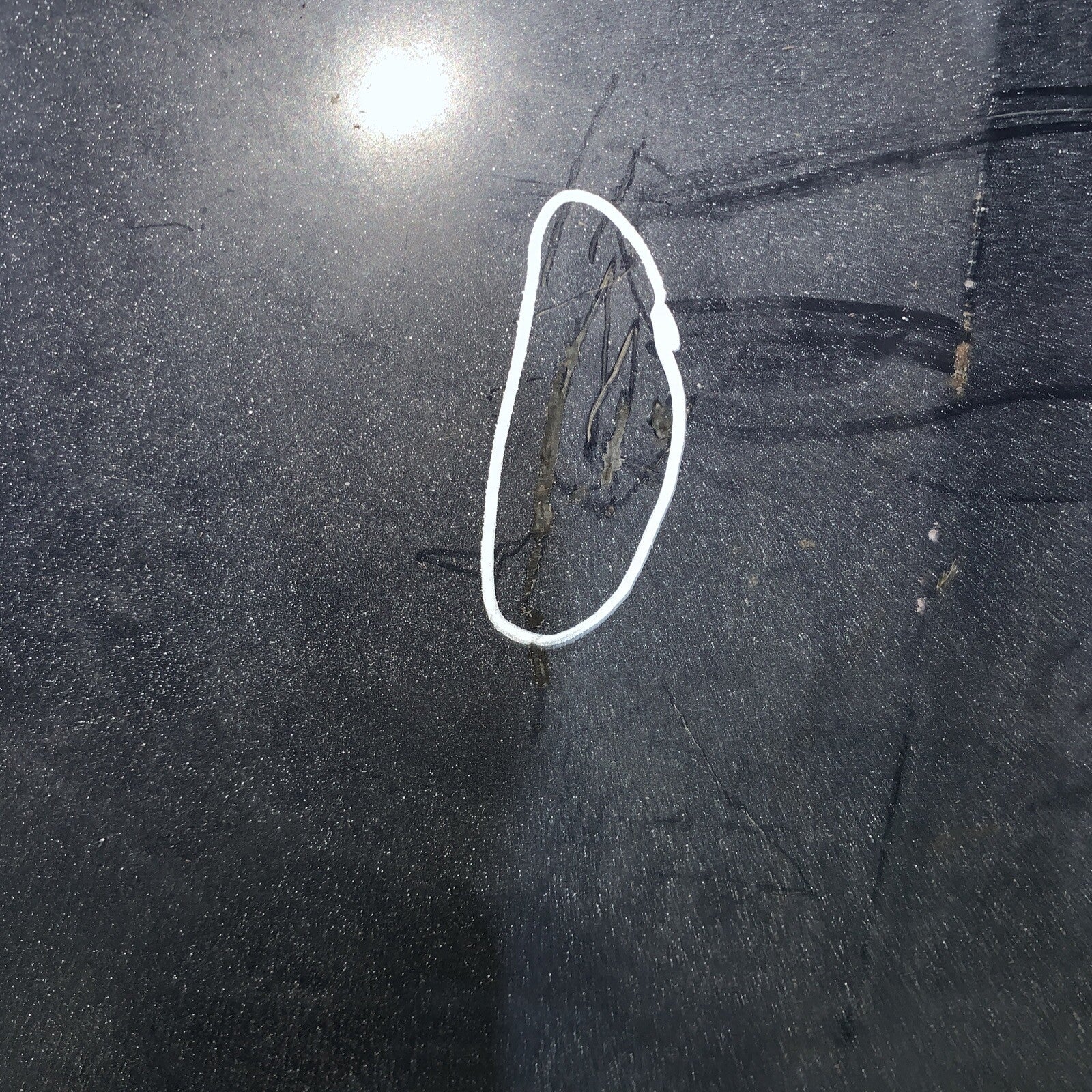 Cofano anteriore seat ibiza 2014