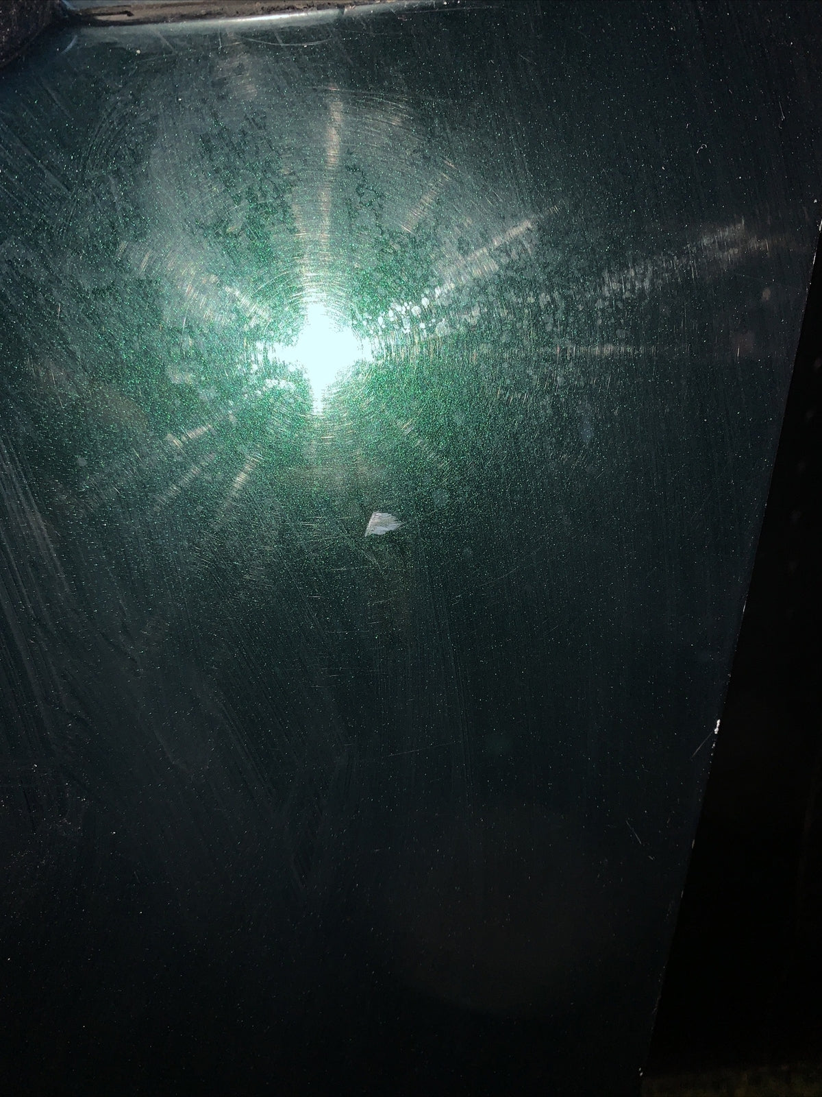 PORTIERA PORTA SPORTELLO ANTERIORE ANT. SINISTRO FIAT 500 L.