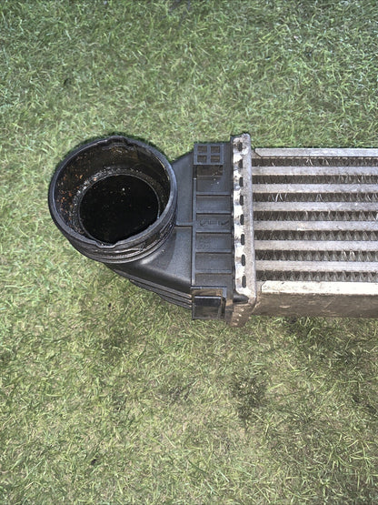 A1695000000 RADIATORE INTERCOOLER MERCEDES-BENZ CLASSE A (W169) (2)