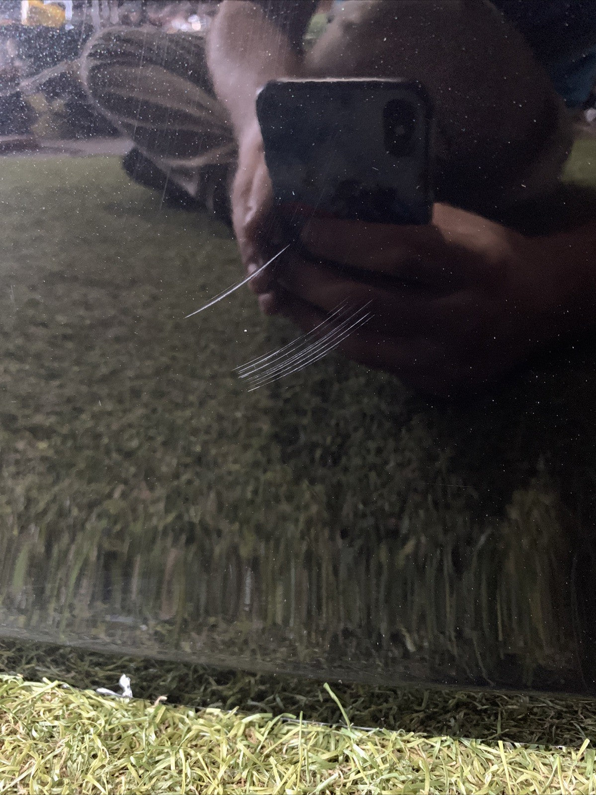 Cofano Baule Portellone Posteriore Smart 453