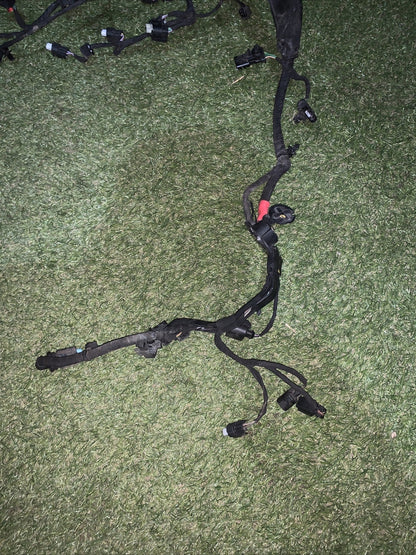 Cablaggio Motore Ford Fiesta 2019 Mk7 1.0 Benzina 85 Cv H1bt12c508cba