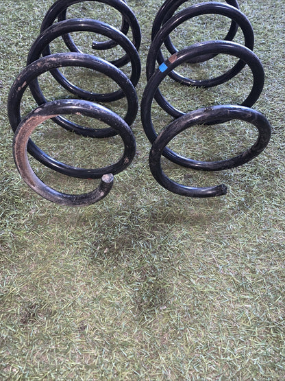 Molle ammortizzatori posteriore golf 7 1.6