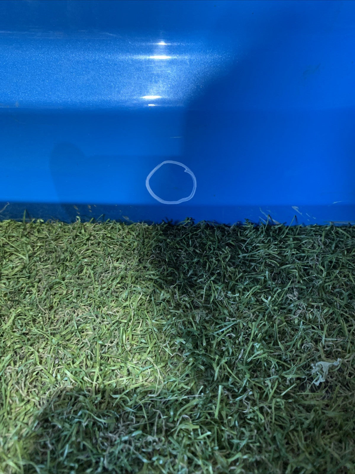 PORTELLONE COFANO BAULE POSTERIORE TOYOTA C-HR 67005F4020 (16 23)