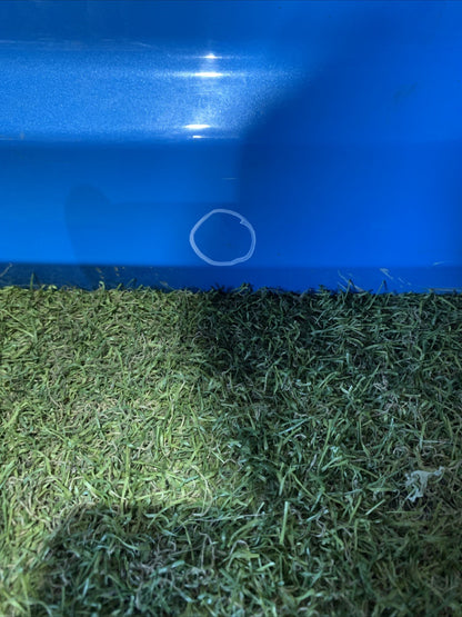 PORTELLONE COFANO BAULE POSTERIORE TOYOTA C-HR 67005F4020 (16 23)