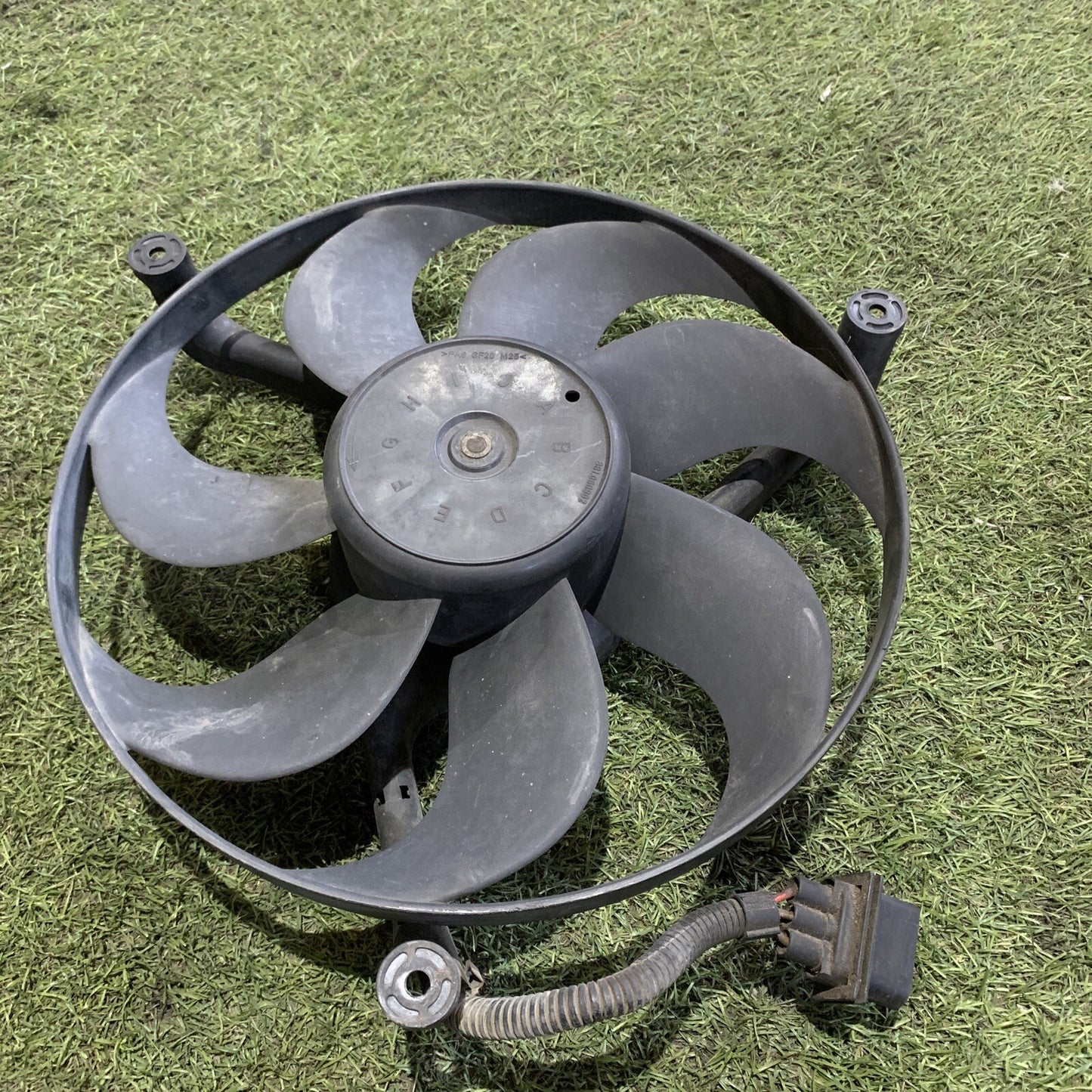 1C0121209 ventilatore elettrico per VOLKSWAGEN POLO 1.2 2001