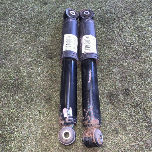 00520763740 AMMORTIZZATORI POSTERIORI FIAT PANDA (319) 1.2