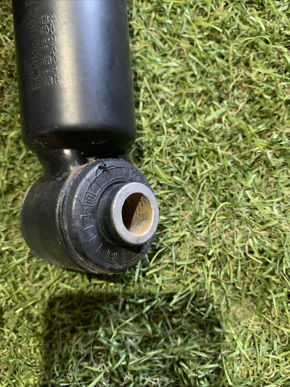 Ammortizzatori Posteriori Focus 2018 JX61-18080-END