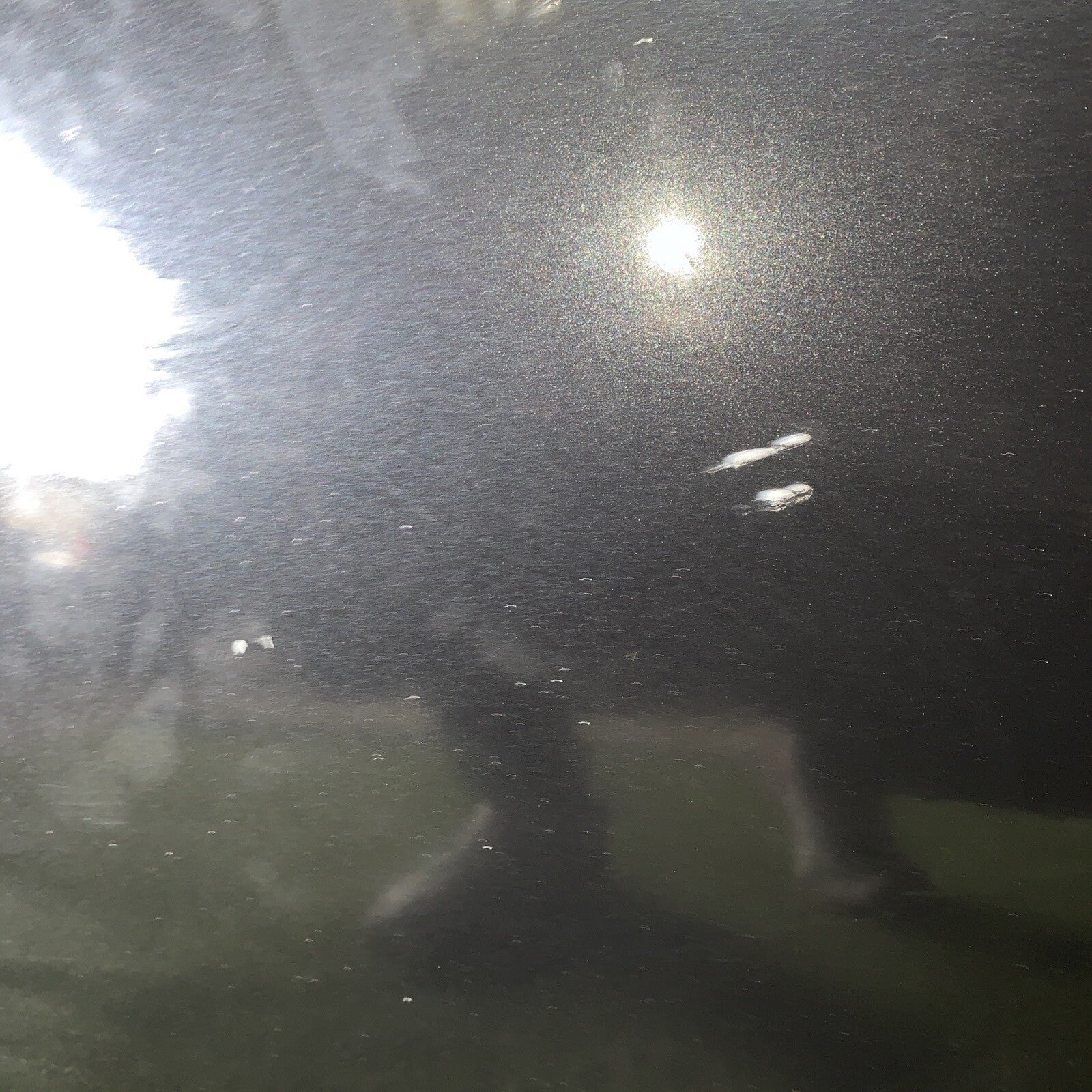 SPORTELLO PORTA PORTIERA ANTERIORE DX DESTRA MINI COOPER R50 R53 2002 2003 2004