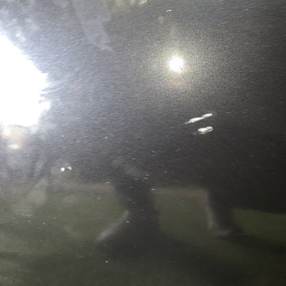 SPORTELLO PORTA PORTIERA ANTERIORE DX DESTRA MINI COOPER R50 R53 2002 2003 2004