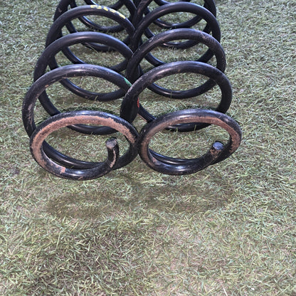 molle ammortizzatori posteriore ford fiesta 2005