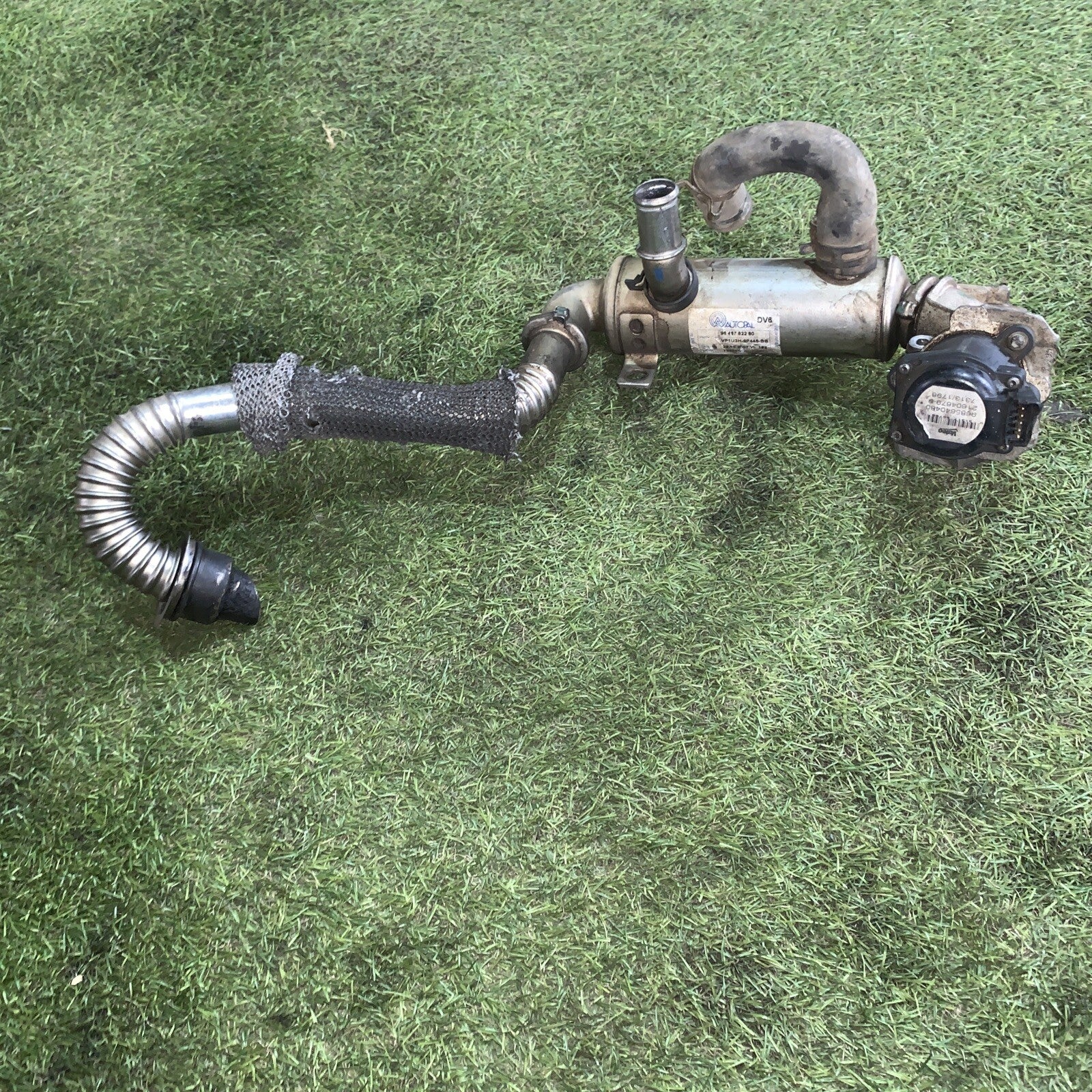 RADIATORE SCARICO GAS EGR PEUGEOT 3008 Serie 9646762280 Diesel 1600