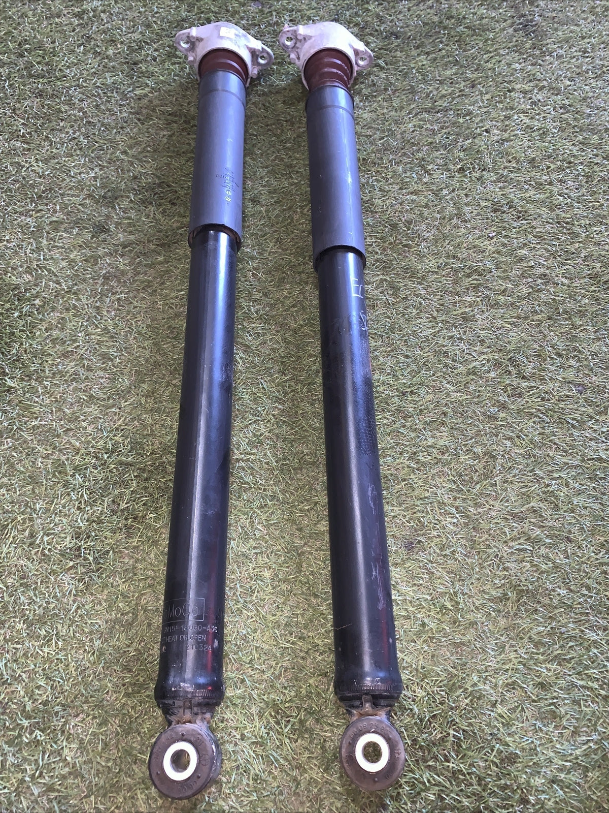 Coppia Ammortizzatori Posteriori Ford Ecosport 2018 1.0 GN15-18080-A3C