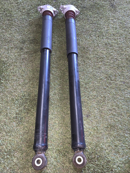 Coppia Ammortizzatori Posteriori Ford Ecosport 2018 1.0 GN15-18080-A3C