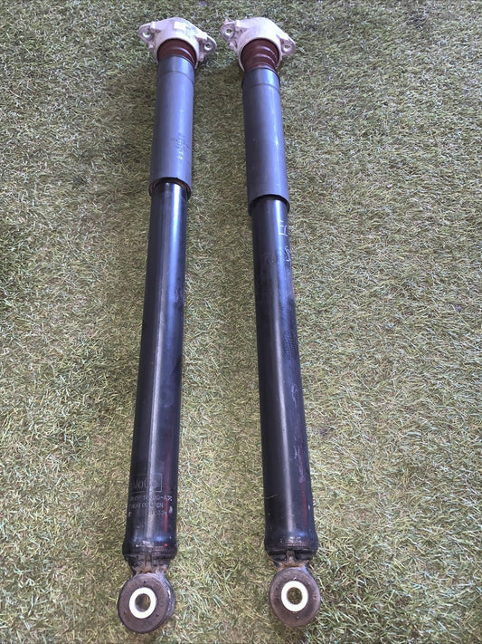 Coppia Ammortizzatori Posteriori Ford Ecosport 2018 1.0 GN15-18080-A3C