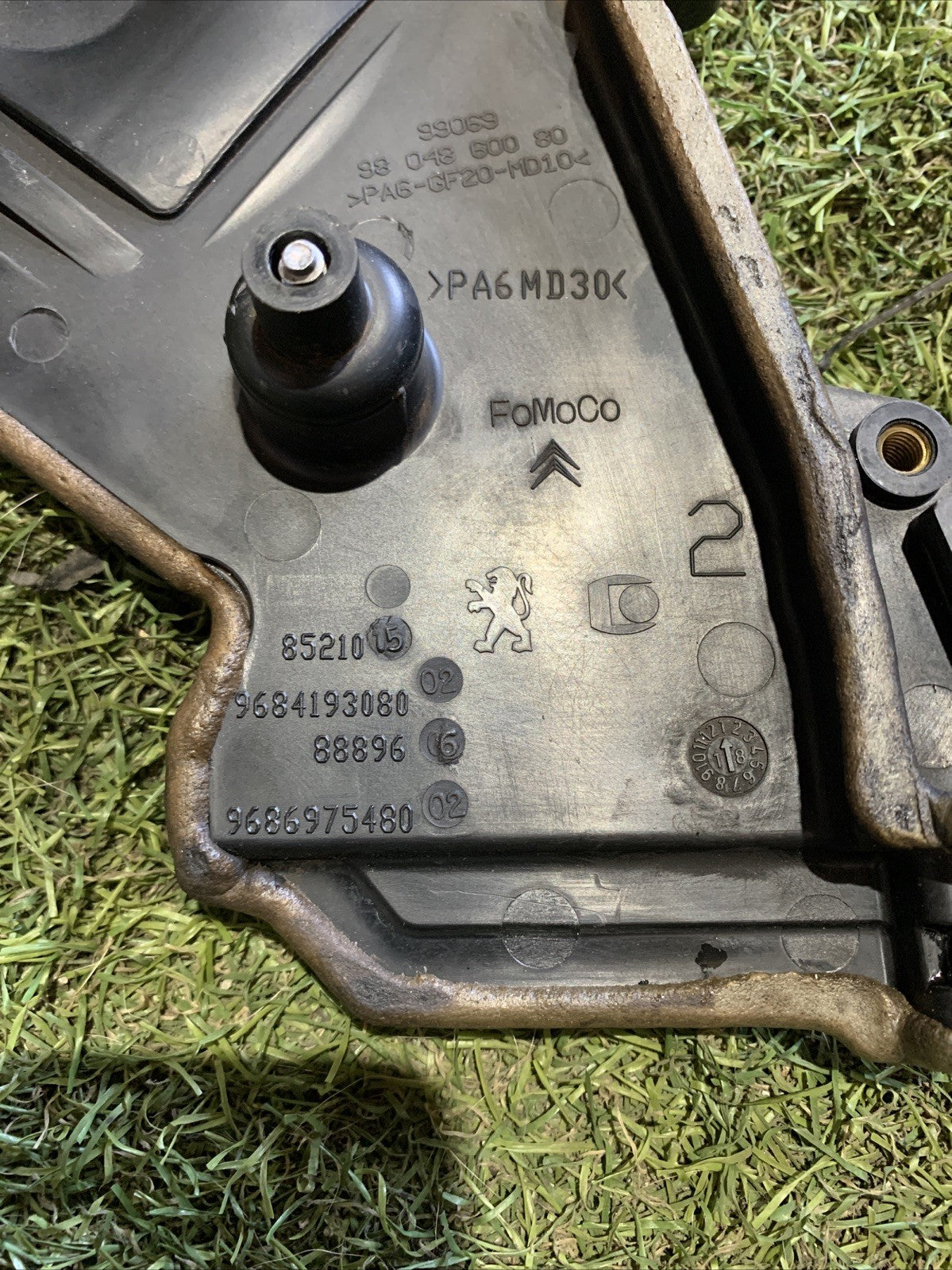 Coperchio Protezione Cinghia Distribuzione Ford Fiesta 2018 1.5 Diesel XUJG