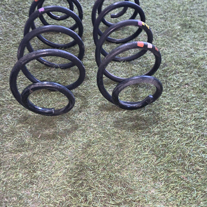 Molle ammortizzatori posteriore peugeot 207 1.4