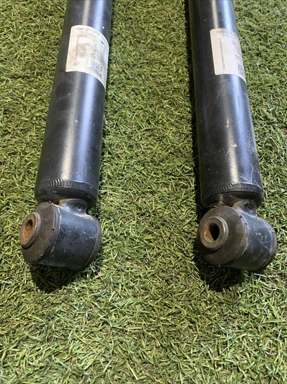 Ammortizzatori Posteriori Fiat Tipo 814903018838