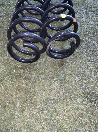 Molle ammortizzatori posteriore ford ecosport 1.0 2018