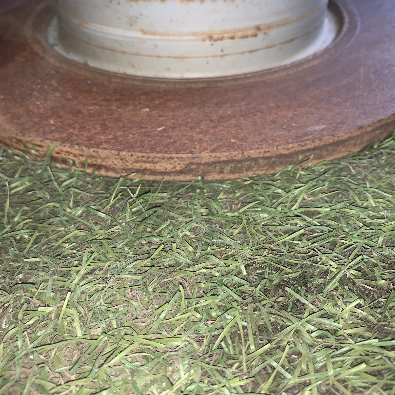 Dischi E Pasticche Posteriori Fiat 500X 1.3 Multijet Originali